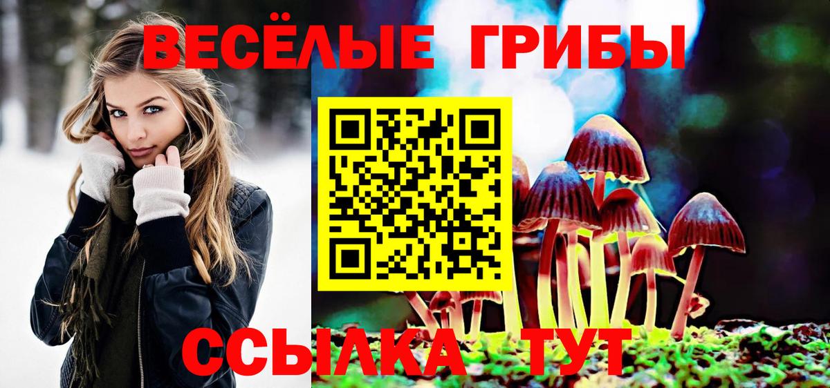 Псилоцибиновые грибы мухоморы  Вход с VPN  Галлюциногенные грибы GOLDEN TEACHER  сколько стоит  Коркино 